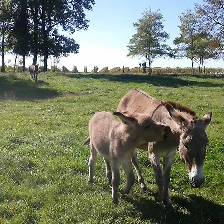 Bed & Breakfast La Cure Du Maine Charles 2*