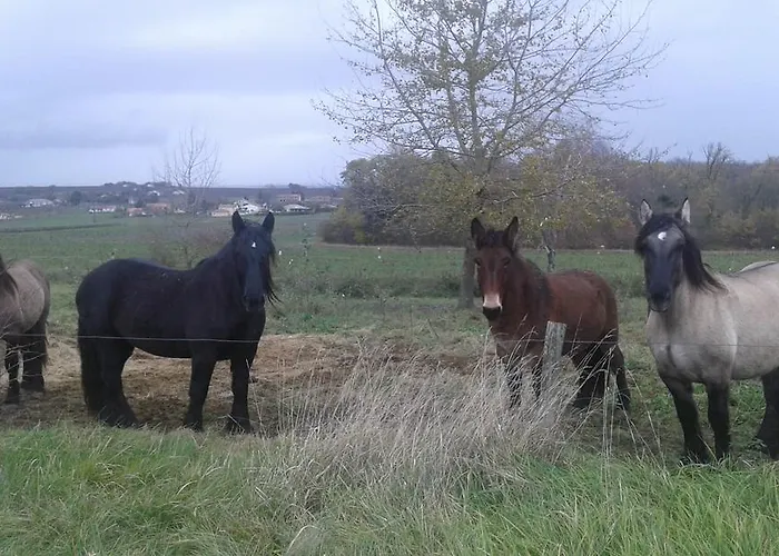 Bed & Breakfast La Cure Du Maine Charles 2*