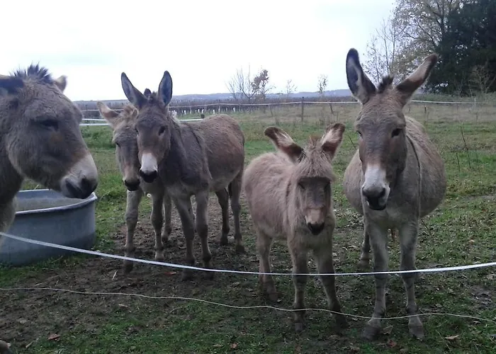 Bed & Breakfast La Cure Du Maine Charles Birac (Charente)