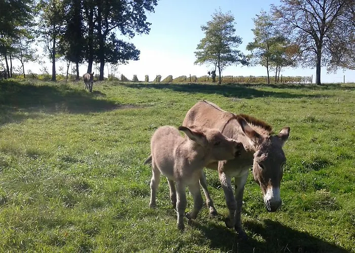 Bed & Breakfast La Cure Du Maine Charles 2*