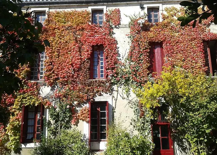 Bed & Breakfast La Cure Du Maine Charles Birac (Charente)